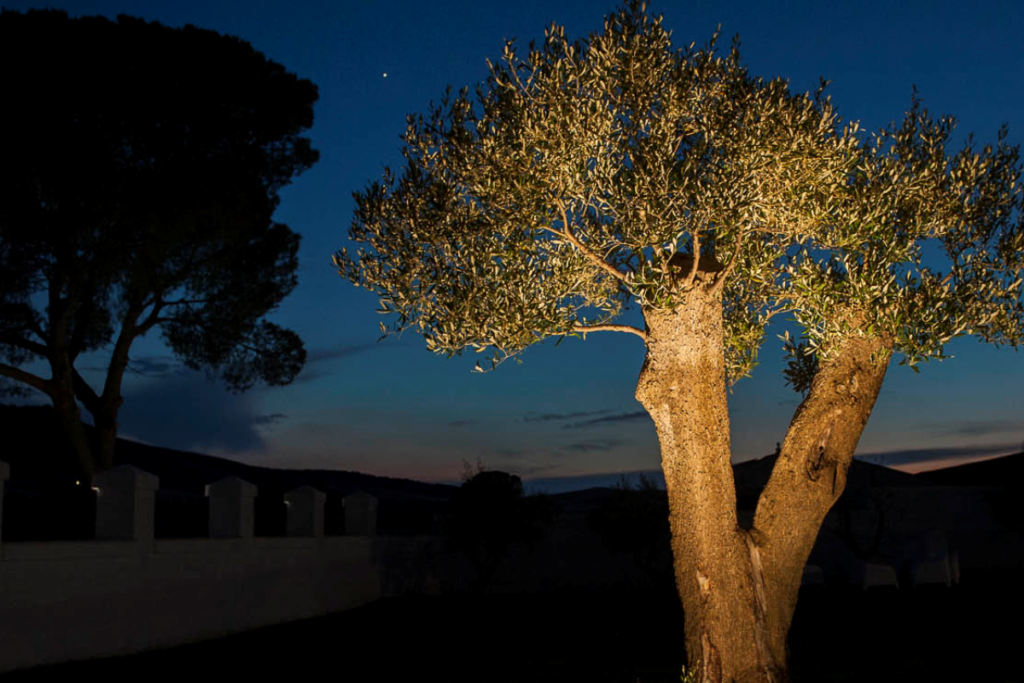 Masseria del parco ricevimenti